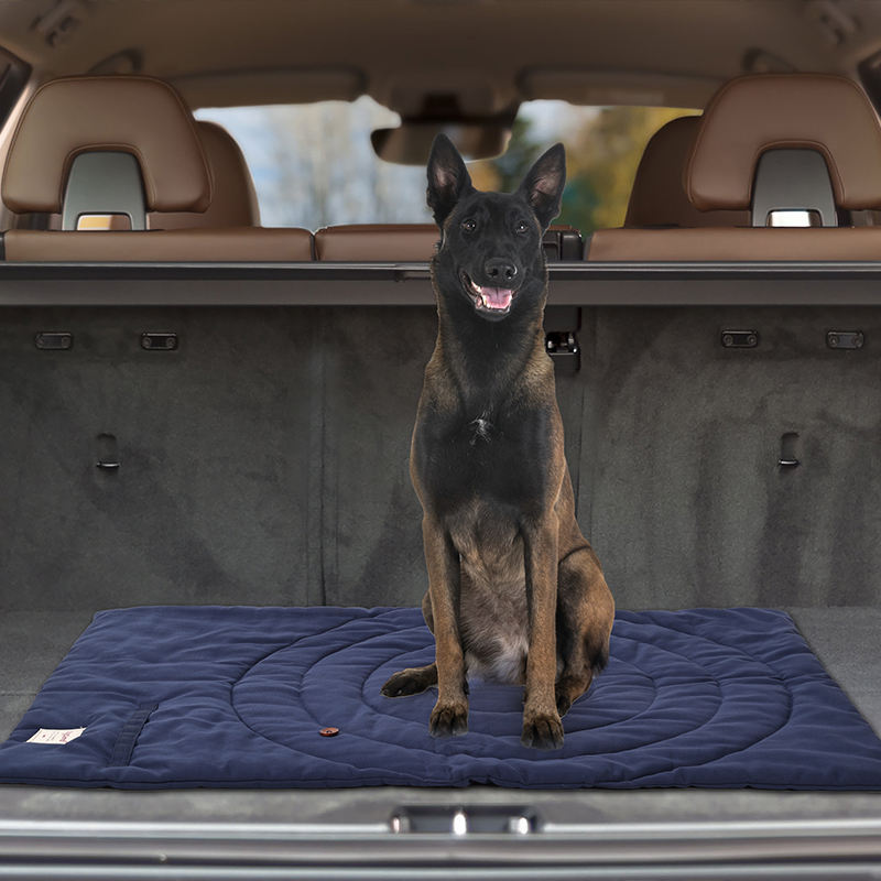 Draagbare Dierenmat Opvouwbare - Outdoor Camping Dog Bed recensie en prijs
