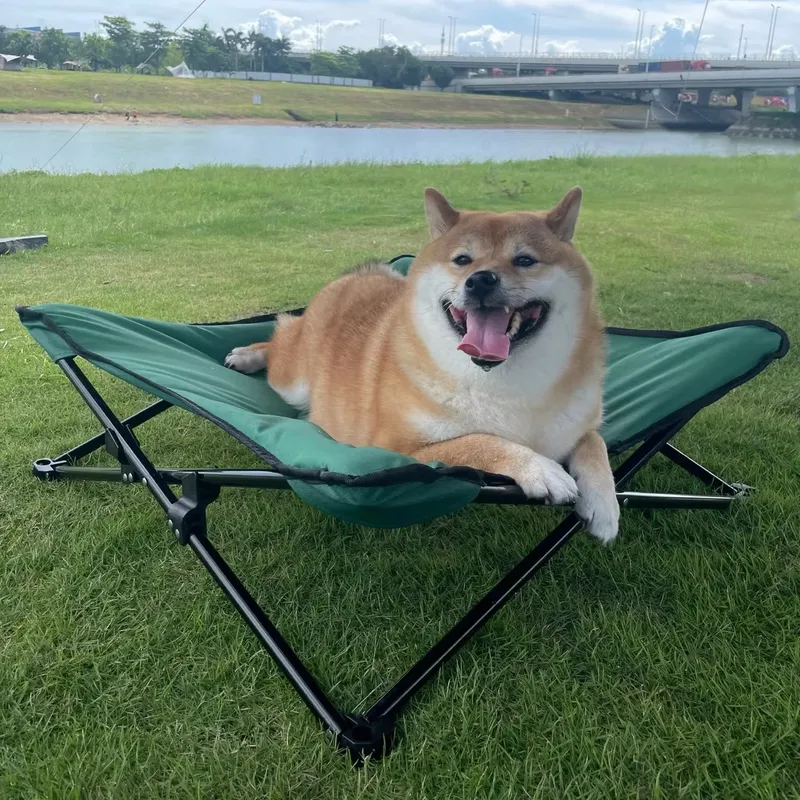 Luxueus modern draagbaar honde - Outdoor Camping Dog Bed recensie en prijs